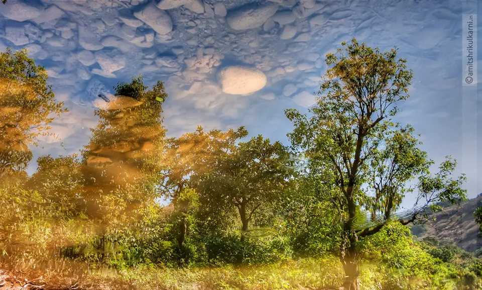 Reflection in water
